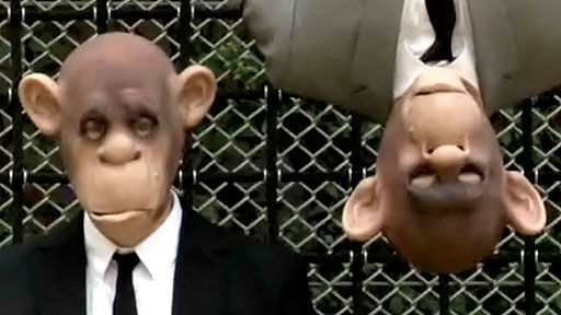 Referenz All Eyes on Peter Fox