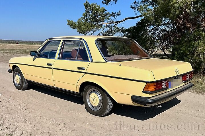 Oldtimer Mercedes-Benz W123 250 zum Mieten
